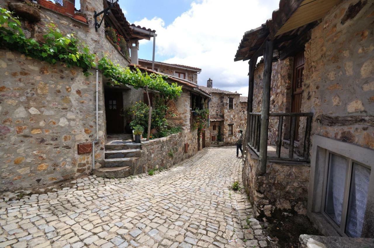 Casa Do Olival Villa Figueiro Dos Vinhos Eksteriør billede