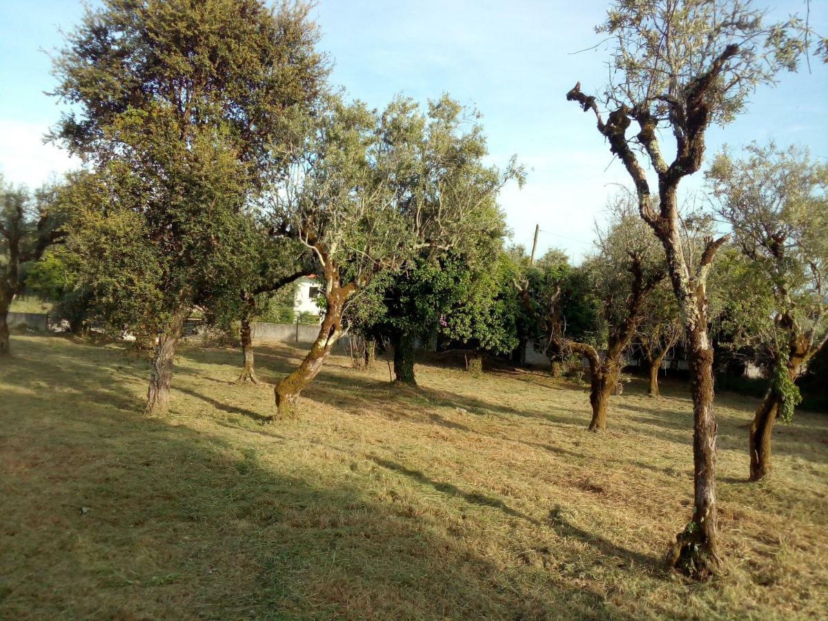 Casa Do Olival Villa Figueiro Dos Vinhos Eksteriør billede