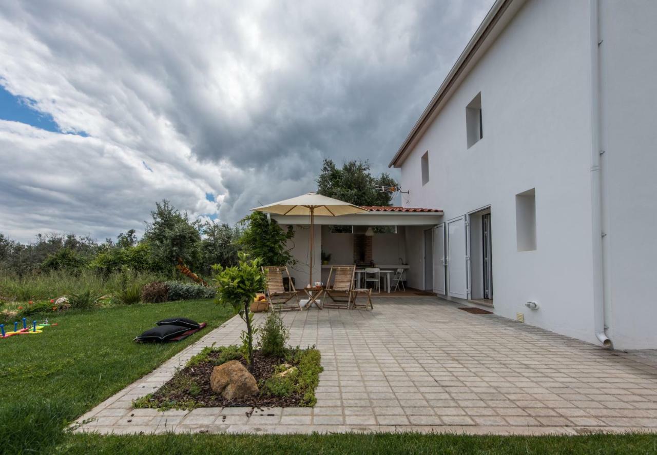 Casa Do Olival Villa Figueiro Dos Vinhos Eksteriør billede