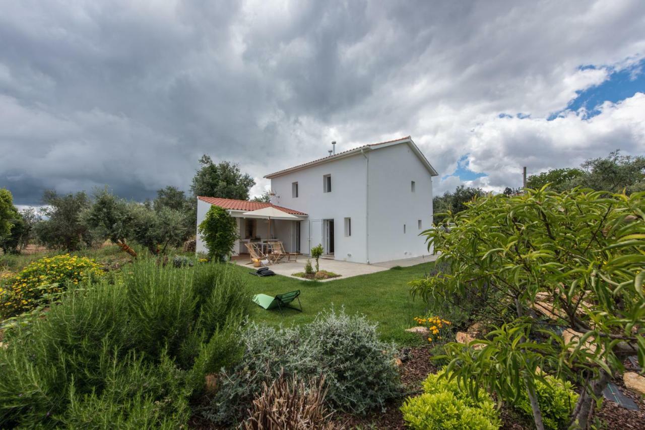 Casa Do Olival Villa Figueiro Dos Vinhos Eksteriør billede